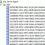 SQL 2005 Reporting Services Subscriptions SQL Job Names Used by Reporting Services Subscriptions